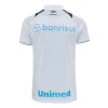 Officiële Voetbalshirt Gremio Uit 2024-25 - Heren